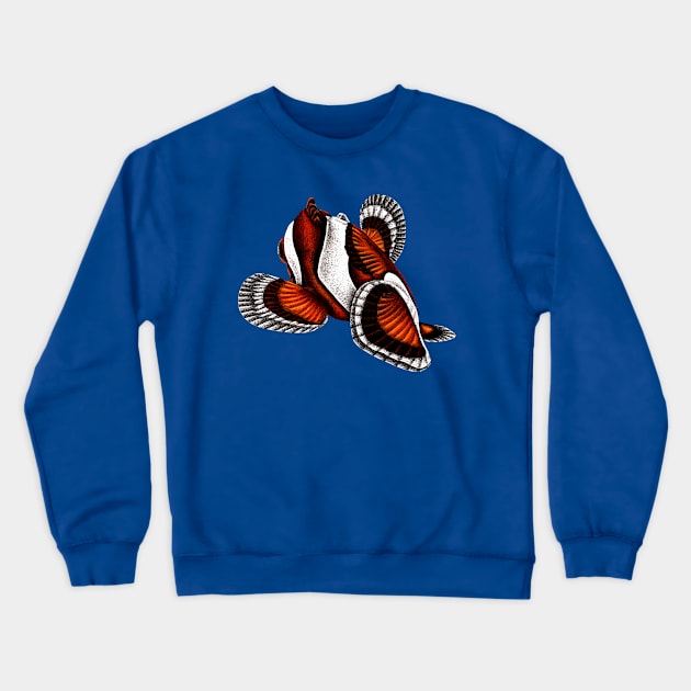 Orange ocellaris clownfish from behind Crewneck Sweatshirt by lorendowding